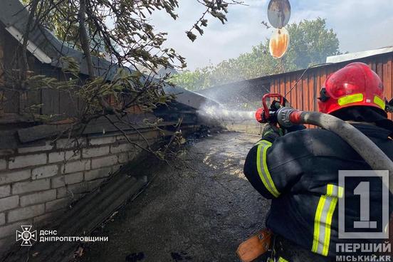 Дніпропетровщина в огні: бушуючі пожежі за добу спалили понад 280 га відкритих територій1