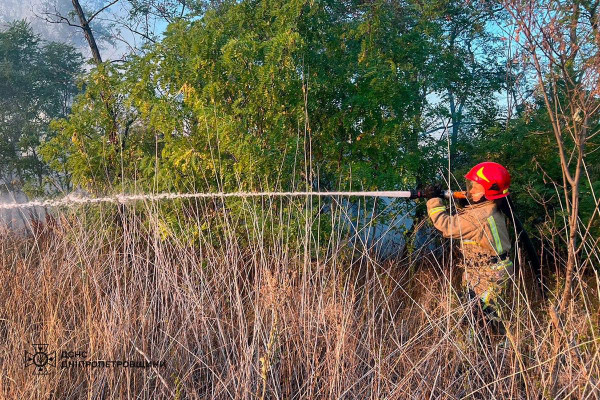 Минулої доби на Дніпропетровщині згоріло 38 га родючої землі в екосистемах1