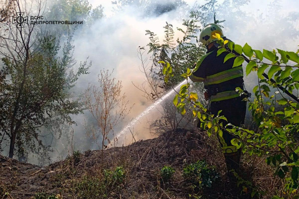 Минулої доби на Дніпропетровщині згоріло 38 га родючої землі в екосистемах2