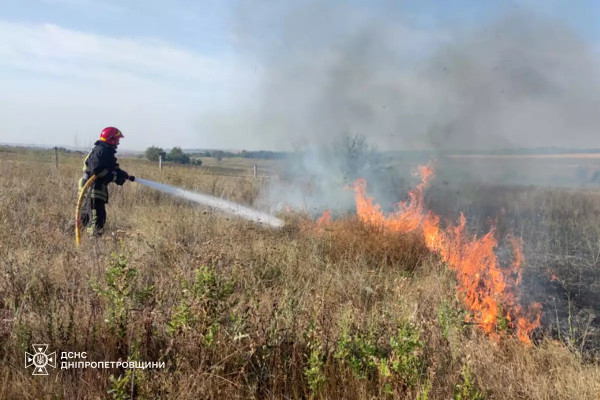 Минулої доби вогнеборці Дніпропетровщини ліквідували 123 пожежі в екосистемах5