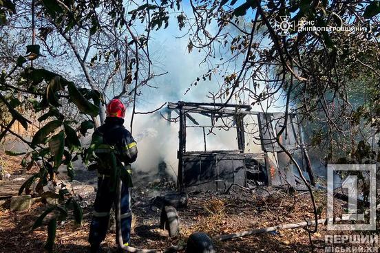 На Криворіжжі вогонь пошкодив житлову забудову: минулої доби у регіоні загоряння випалили понад 159 гектар землі6