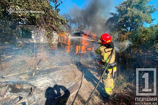 На Криворіжжі вогонь пошкодив житлову забудову: минулої доби у регіоні загоряння випалили понад 159 гектар землі7