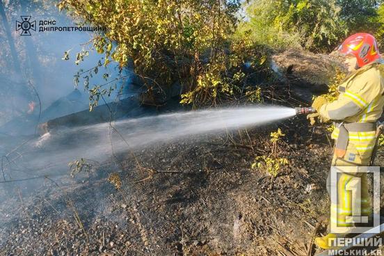 Пекло продовжується: Дніпропетровщина за добу палала 48 разів2