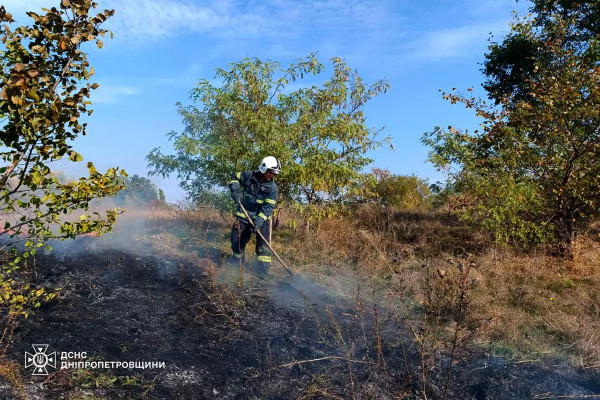 Через дощі? На Дніпропетровщині протягом доби майже вдвічі зменшилась кількість пожеж в екосистемах у порівнянні з минулими днями3