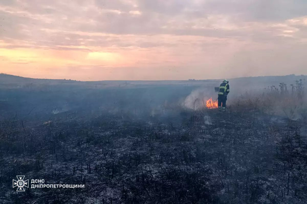 Через дощі? На Дніпропетровщині протягом доби майже вдвічі зменшилась кількість пожеж в екосистемах у порівнянні з минулими днями1