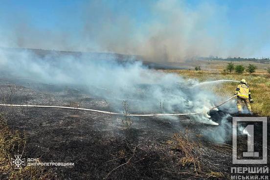 Гектари чорнозему у попелі: на Дніпропетровщині минулої доби вирувало 88 пожеж під відкритим небом6