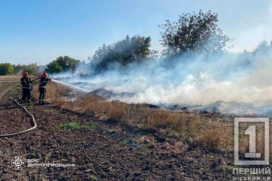 Гектари чорнозему у попелі: на Дніпропетровщині минулої доби вирувало 88 пожеж під відкритим небом5