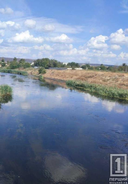 Якість води у водоймах Кривого Рогу: екологи опублікували свіжий звіт2