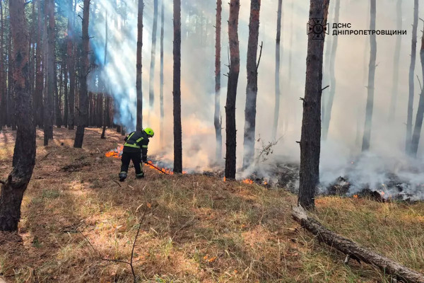 На Дніпропетровщині не вщухають пожежі в екосистемах: за добу рятувальники загасили 33 займання1