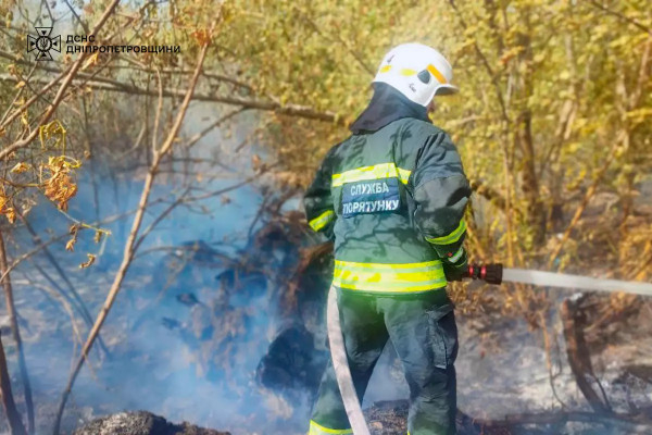 На Дніпропетровщині значно зросла кількість пожеж в екосистемах1