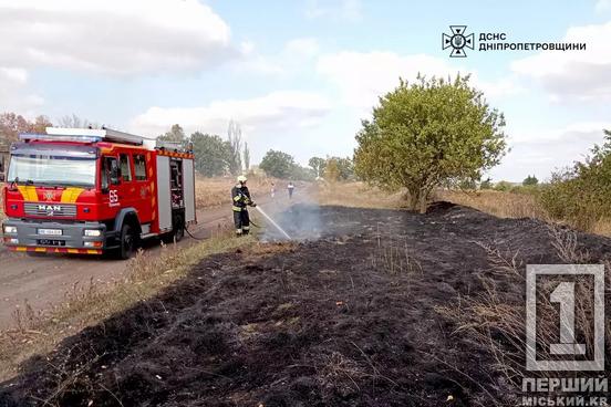 Наша земля палає навіть в осінні туманні дні: на Дніпропетровщині за одну добу загасили 23 пожежі5