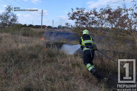 Наша земля палає навіть в осінні туманні дні: на Дніпропетровщині за одну добу загасили 23 пожежі4