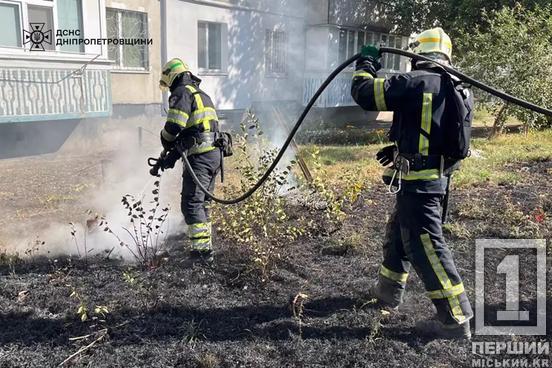 Наша земля палає навіть в осінні туманні дні: на Дніпропетровщині за одну добу загасили 23 пожежі3