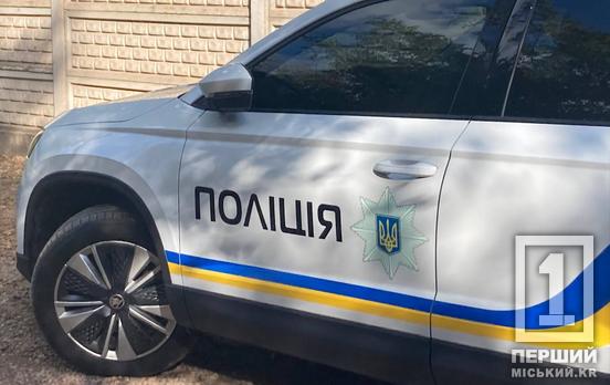 Подзвонив щодо «вбивства», а потім відлупцював автівку поліції: криворіжець сидітиме у в’язниці 7 років