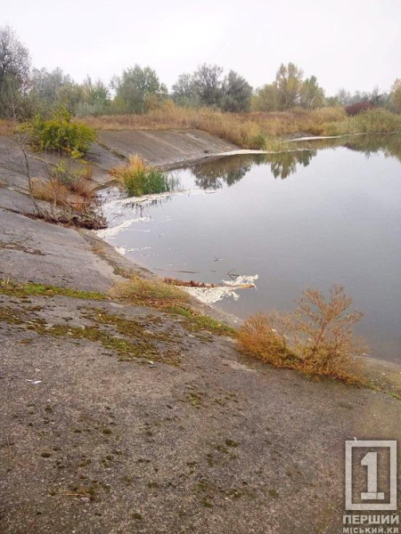 Порушився хиткий екологічний баланс: Дніпропетровщину спіткав масовий мор риби2