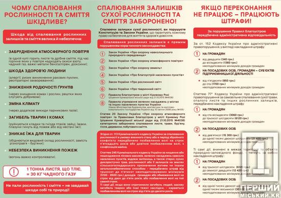 Ризик онкології, отруєння, проблем з диханням: криворіжцям нагадали про заборону спалювання опалого листя і існуючу відповідальність2