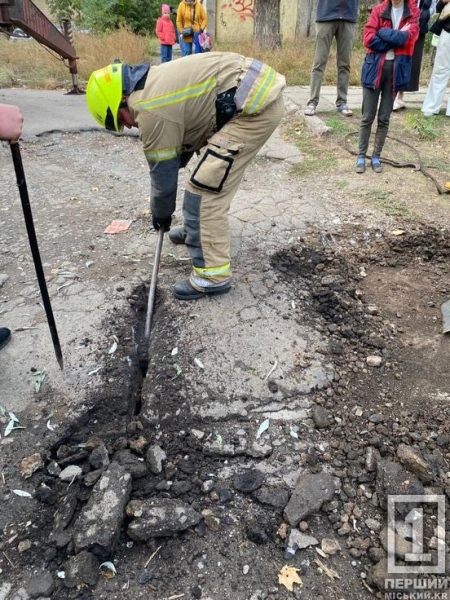 В ранах, без їжі та води: у Кривому Розі врятували собаку, який потрапив під плити на ямі «Теплоцентралі»3