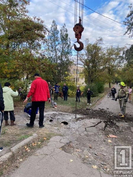 В ранах, без їжі та води: у Кривому Розі врятували собаку, який потрапив під плити на ямі «Теплоцентралі»1