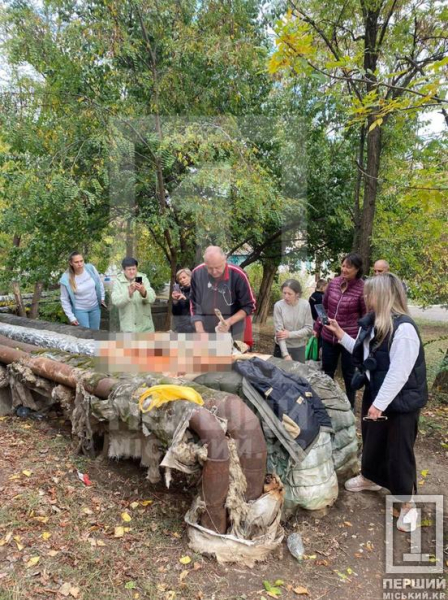 В ранах, без їжі та води: у Кривому Розі врятували собаку, який потрапив під плити на ямі «Теплоцентралі»2