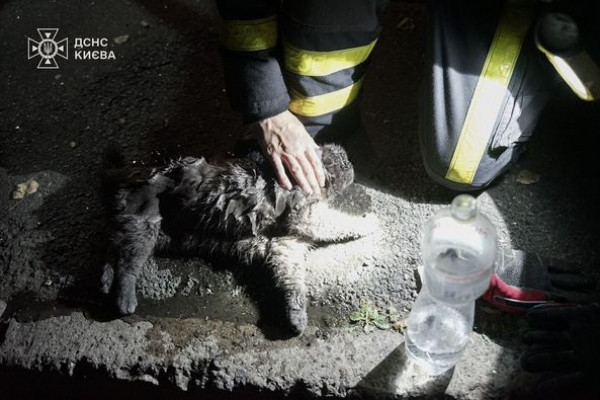 Внаслідок нічної ворожої атаки столиці дронами  постраждали 9 людей, в тому числі дитина1