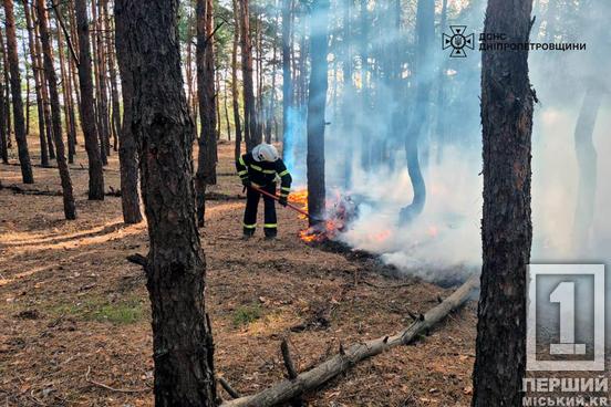 Вогонь продовжує знищувати область: за минулу добу рятувальники Дніпропетровщини ліквідували 71 пожежу4