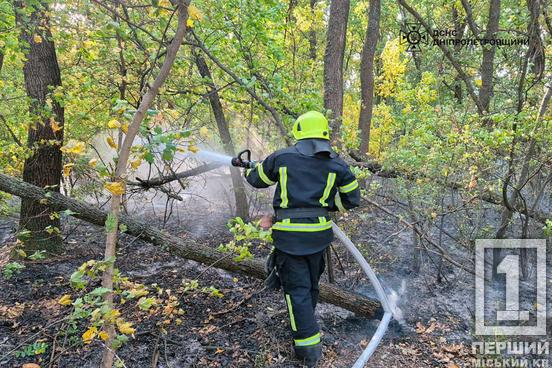 Вогонь продовжує знищувати область: за минулу добу рятувальники Дніпропетровщини ліквідували 71 пожежу2