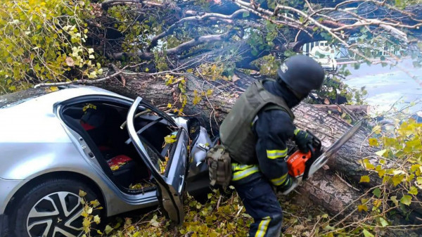 На Дніпропетровщині дерево впало на авто: загинув чоловік0