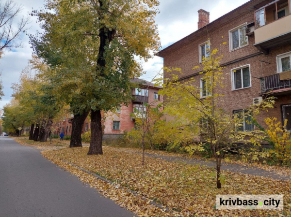 Вихідні у Кривому Розі: де провести 2-3 листопада  цікаво та з користю