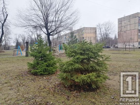 Любителі «халявного» святкування залишили по собі болючий слід: у Кривому Розі невідомі понівечили ялинки1