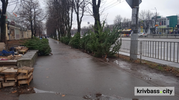 У Кривому Розі діють ялинкові ярмарки - фотофакт4