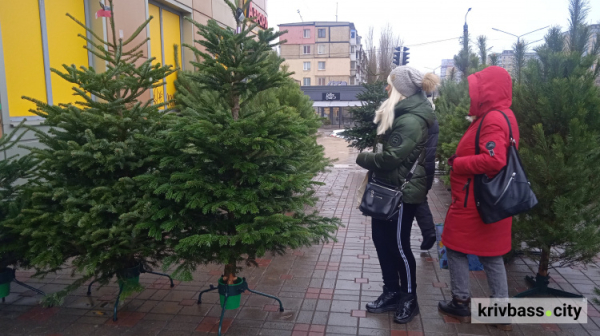 У Кривому Розі діють ялинкові ярмарки 