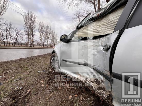 У Кривому Розі Renault вилетів у кювет, а Volkswagen - на узбіччя6