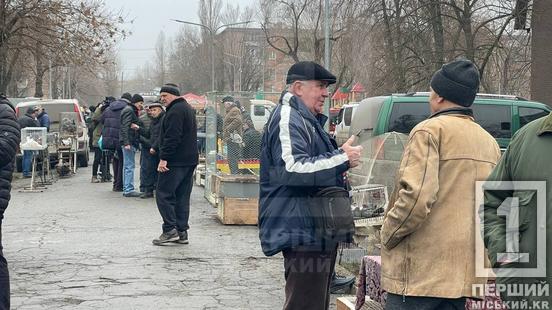 Пернаті неймовірної краси та песики з бездонними очима: у Кривому Розі пройшов благодійний ярмарок на підтримку ЗСУ1