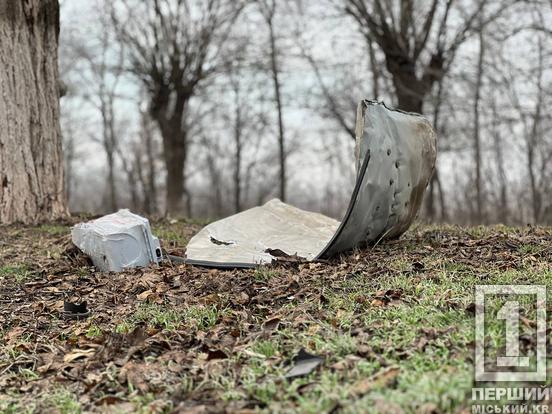 Швидкість та алкоголь не сумісні: у Покровському районі легковик влетів у дерево3