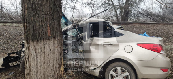 У Кривому Розі легковик врізався у дерево: водій не міг вибратися самостійно1