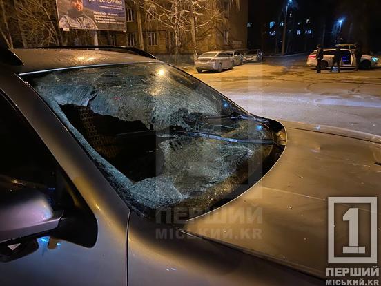 Бігли через дорогу і потрапили під колеса: на Піонері сталася смертельна ДТП1