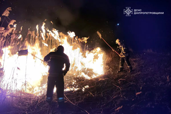 65 пожеж в екосистемах Дніпропетровщині ліквідували вогнеборці 15 березня4