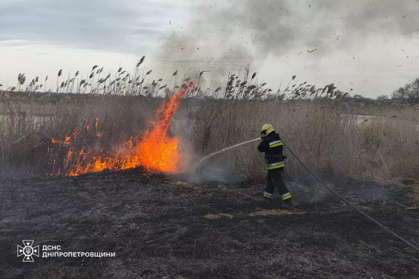 65 пожеж в екосистемах Дніпропетровщині ліквідували вогнеборці 15 березня0