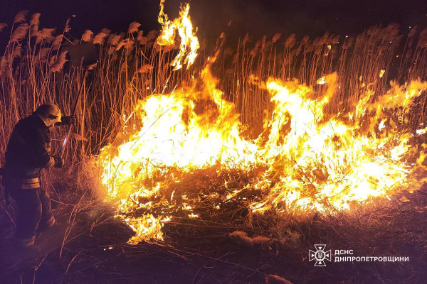 65 пожеж в екосистемах Дніпропетровщині ліквідували вогнеборці 15 березня3