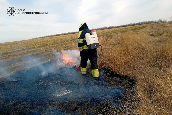 На Дніпропетровщині за минулу добу сталося 47 пожеж в екосистемах0