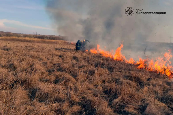 На Дніпропетровщині за минулу добу сталося 47 пожеж в екосистемах2