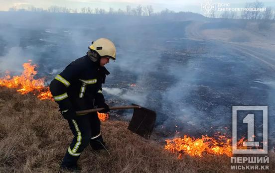 Понад 76 гектарів понівечив вогонь: Дніпропетровщина поставила новий «рекорд» з пожеж за добу