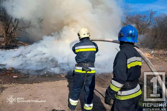 Понад 76 гектарів понівечив вогонь: Дніпропетровщина поставила новий «рекорд» з пожеж за добу1