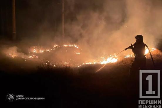 Понад 76 гектарів понівечив вогонь: Дніпропетровщина поставила новий «рекорд» з пожеж за добу2