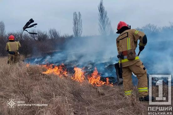 Злісним паліям загрожують штрафи: Дніпропетровщина 68 разів була у вогні3