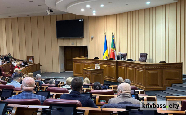 Забезпечення стабільної роботи міської інфраструктури: скільки грошей криворізькі депутати направили на освіту культуру, спорт і охорону здоров'я1