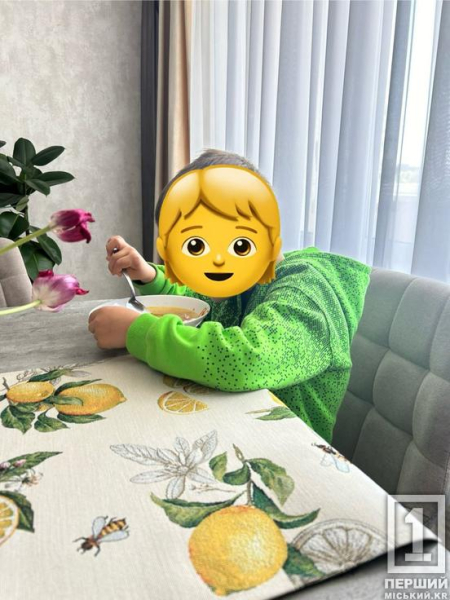+1 щаслива дитина: маленький криворіжець з Польщі повернувся на батьківщину до нової родини2