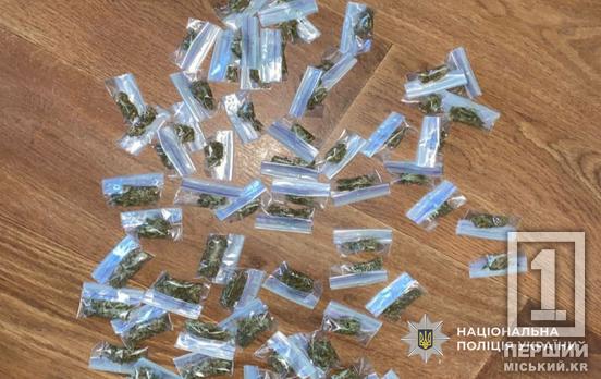 10 років в’язниці може коштувати пристрасть до наркотиків: на Криворіжжі накрили двох чоловіків