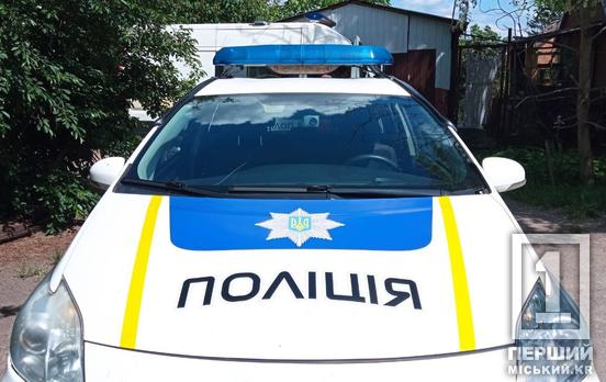 Чекає на рішення служителів Феміди: у Кривому Розі затримали крадія золотих прикрас