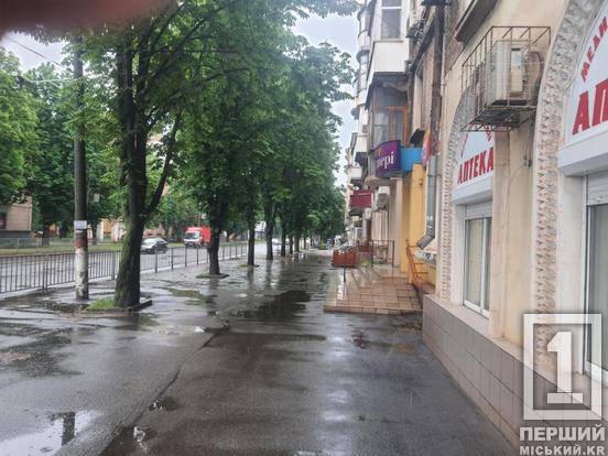 Через питання якості та законності: у Кривому Розі демонтували 20 рекламних об’єктів1